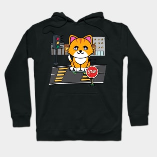 Cute orange cat is skate boarding on the street Hoodie